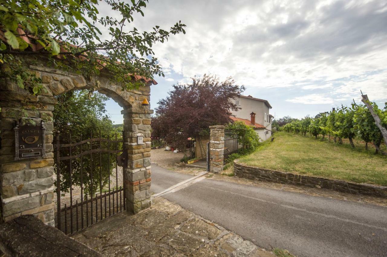 Cozy Istrian House Guest House Izola Exterior photo