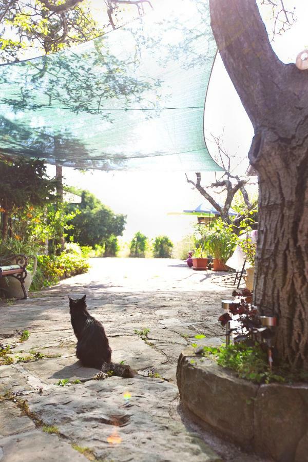 Cozy Istrian House Guest House Izola Exterior photo