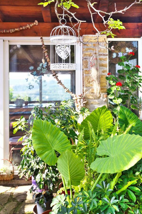 Cozy Istrian House Guest House Izola Exterior photo
